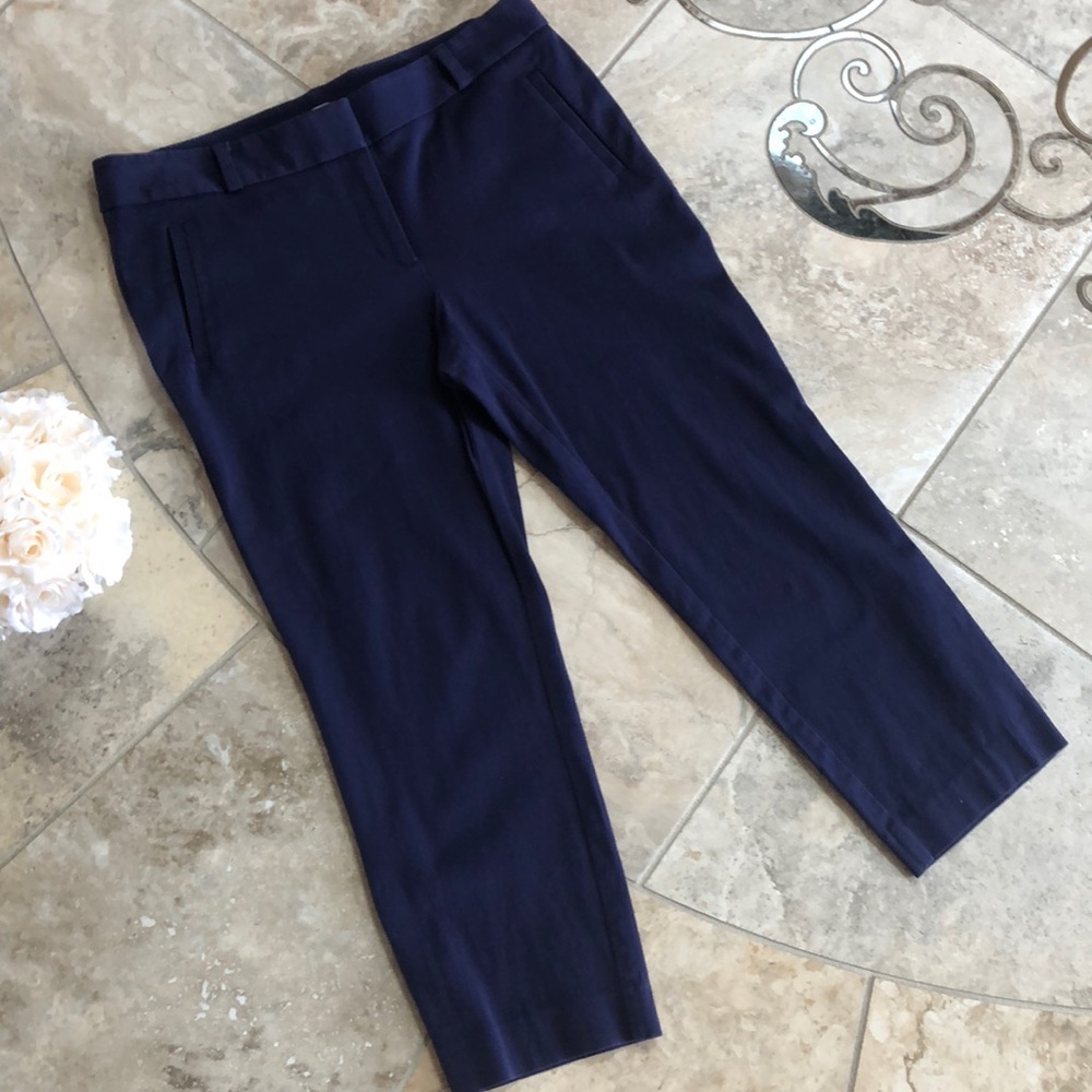 NWOT FINAL PRICE! LOFT Eggplant Crop Pants